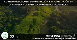 Lee más sobre el artículo DERRAME EN LA ISLA  MAURICIO: CONTINÚA EL DRAMA PLANETARIO