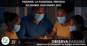 Lee más sobre el artículo AMERICA LATINA:  LA DEFORESTACION EN CONTEXTO.