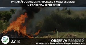 Lee más sobre el artículo LA DEFORESTACIÓN COMO PROBLEMA DE VIEJA DATA