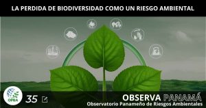 Lee más sobre el artículo LA PERDIDA DE BIODIVERSIDAD COMO UN RIESGO AMBIENTAL.