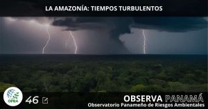 Lee más sobre el artículo LA AMAZONÍA: TIEMPOS TURBULENTOS