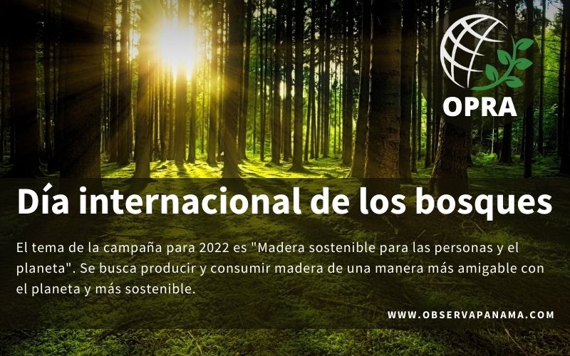 21 DE MARZO DIA INTERNACIONAL DE LOS BOSQUES - OPRA