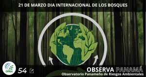 Lee más sobre el artículo 21 DE MARZO DIA INTERNACIONAL DE LOS BOSQUES