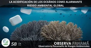 Lee más sobre el artículo LA ACIDIFICACIÓN DE LOS OCEÁNOS COMO ALARMANTE RIESGO AMBIENTAL  GLOBAL