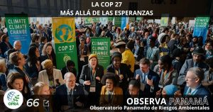 Lee más sobre el artículo LA  COP 27: MÁS ALLÁ DE LAS ESPERANZAS.