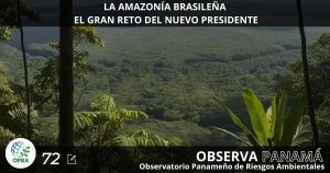 Lee más sobre el artículo LA AMAZONÍA BRASILEÑA: EL GRAN RETO DEL NUEVO PRESIDENTE