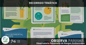 Lee más sobre el artículo RECORRIDO TEMÁTICO