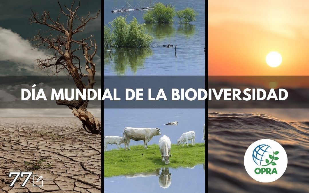 Día mundial de la Biodiversidad.