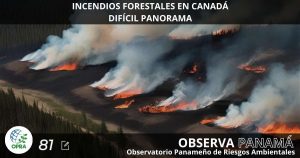 Lee más sobre el artículo INCENDIOS FORESTALES EN CANADÁ. DIFÍCIL PANORAMA.