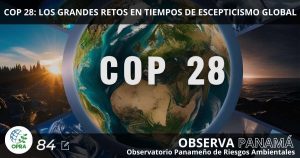 Lee más sobre el artículo COP 28: LOS GRANDES RETOS EN TIEMPOS DE ESCEPTICISMO GLOBAL