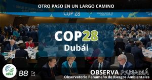 Lee más sobre el artículo COP 28: OTRO PASO EN UN LARGO CAMINO