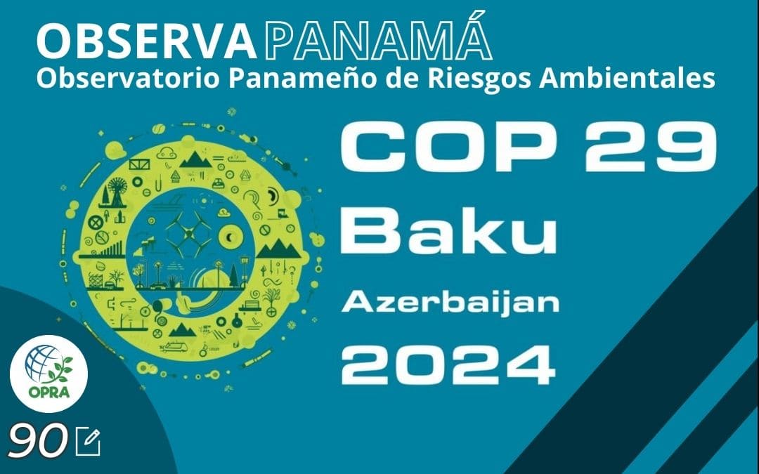 COP29. 