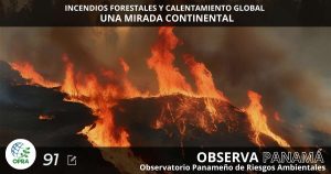 Lee más sobre el artículo INCENDIOS FORESTALES Y CALENTAMIENTO GLOBAL: UNA MIRADA CONTINENTAL