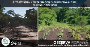 Lee más sobre el artículo DEFORESTACIÓN Y REFORESTACIÓN EN PERSPECTIVA GLOBAL, REGIONAL Y NACIONAL