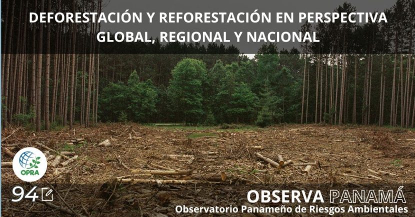 DEFORESTACIÓN Y REFORESTACIÓN