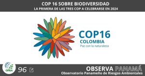 Lee más sobre el artículo COP 16 SOBRE BIODIVERSIDAD: LA PRIMERA DE LAS TRES COP A CELEBRARSE EN 2024