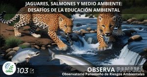 Lee más sobre el artículo JAGUARES, SALMONES Y MEDIO AMBIENTE: DESAFÍOS DE LA EDUCACIÓN AMBIENTAL