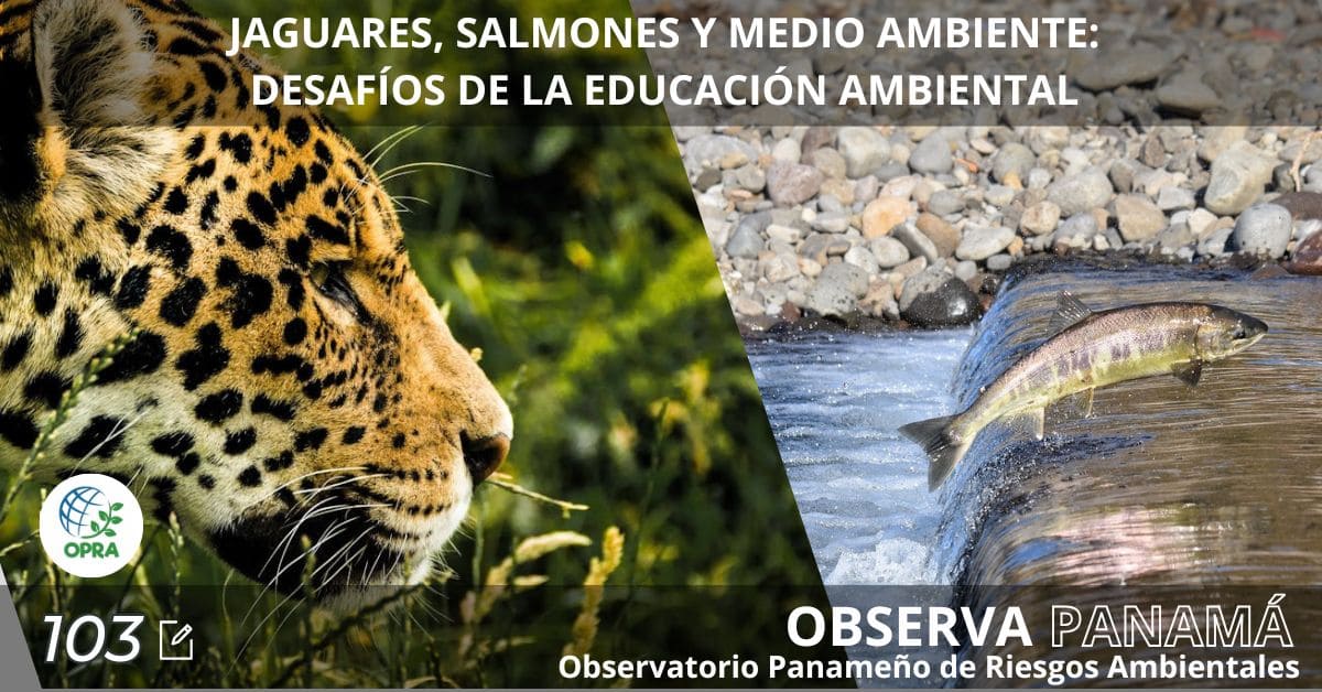 AGUARES, SALMONES Y MEDIO AMBIENTE: DESAFÍOS DE LA EDUCACIÓN AMBIENTAL