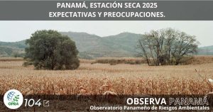Lee más sobre el artículo PANAMÁ, ESTACIÓN SECA 2025: EXPECTATIVAS y PREOCUPACIONES