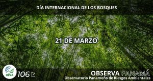 Lee más sobre el artículo 21 DE MARZO. DÍA INTERNACIONAL DE LOS BOSQUES