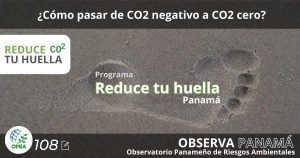 Lee más sobre el artículo ¿Cómo pasar de CO2 negativo a CO2 cero?