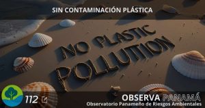 Lee más sobre el artículo SIN CONTAMINACIÓN PLÁSTICA