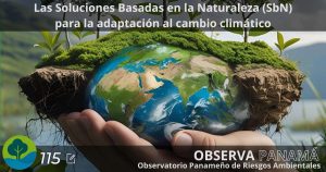 Lee más sobre el artículo Las Soluciones Basadas en la Naturaleza (SbN) para la adaptación al cambio climático