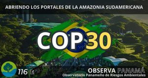 Lee más sobre el artículo LA COP 30: ABRIENDO LOS PORTALES DE LA AMAZONIA SUDAMERICANA.