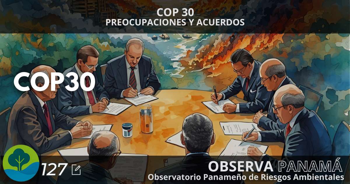 Lee más sobre el artículo COP 30: preocupaciones y acuerdos