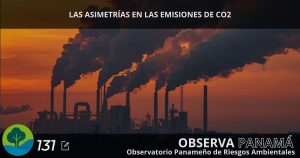 LAS ASIMETRÍAS EN LAS EMISIONES DE CO2: