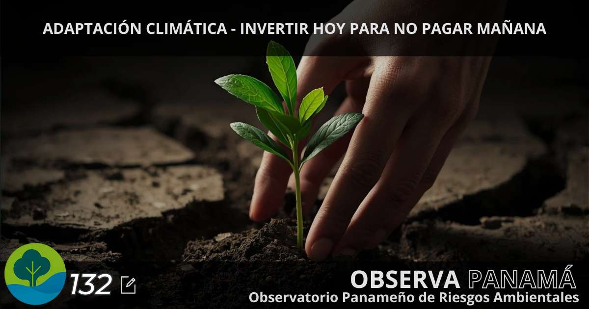 En este momento estás viendo Adaptación climática – Invertir hoy para no pagar mañana