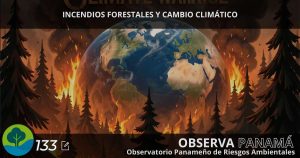 INCENDIOS FORESTALES Y CAMBIO CLIMÁTICO