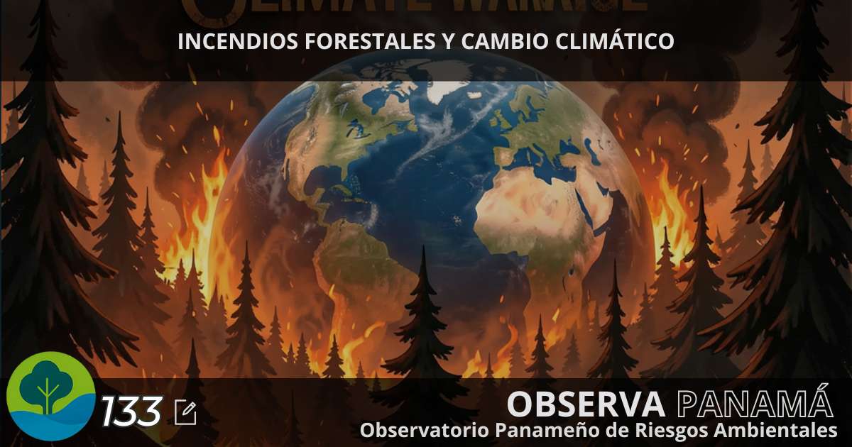 En este momento estás viendo INCENDIOS FORESTALES Y CAMBIO CLIMÁTICO