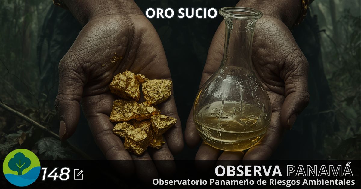 En este momento estás viendo Oro sucio