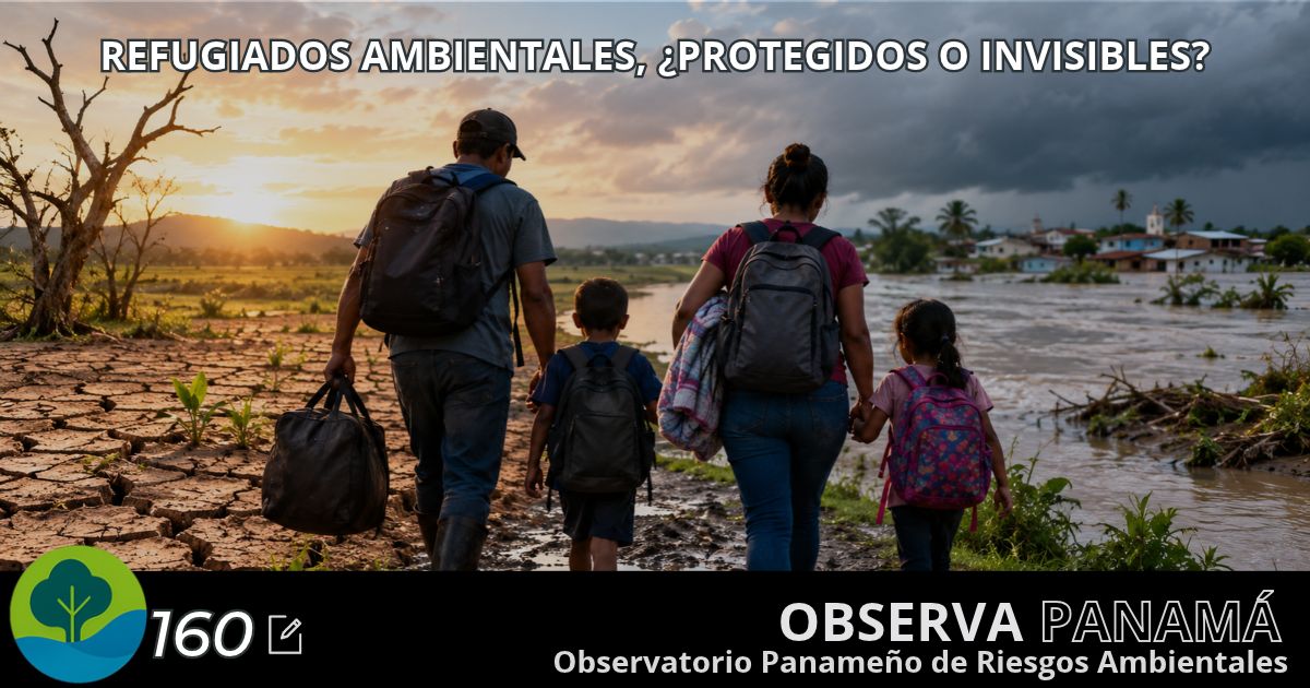 En este momento estás viendo Refugiados ambientales, ¿protegidos o invisibles?